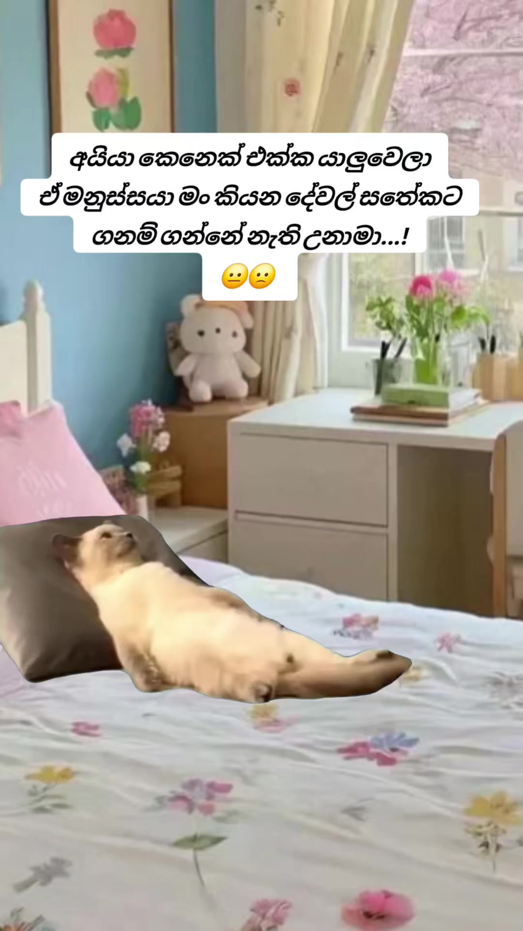 @꧁💓🌸 සිතු✾𝄟͜ 🌸💓 සිතු✾𝄟͜ ꧂