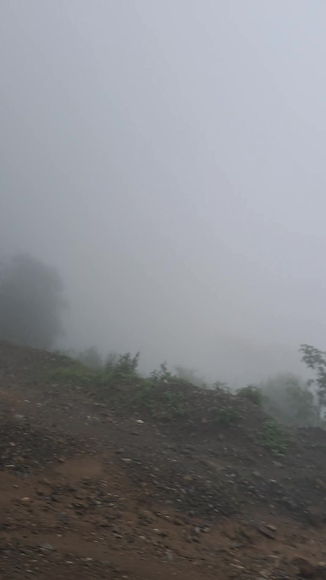 @Laxmi Rai