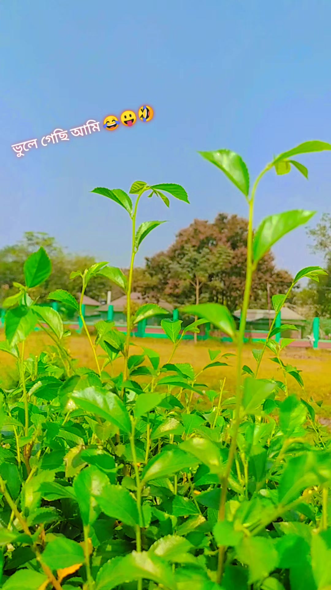 @🥀💔Sp💥 ~&bull;^Sobuj ~&bull;^Babu 💥🥀