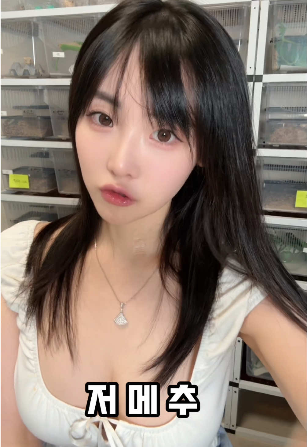 @Crenyang