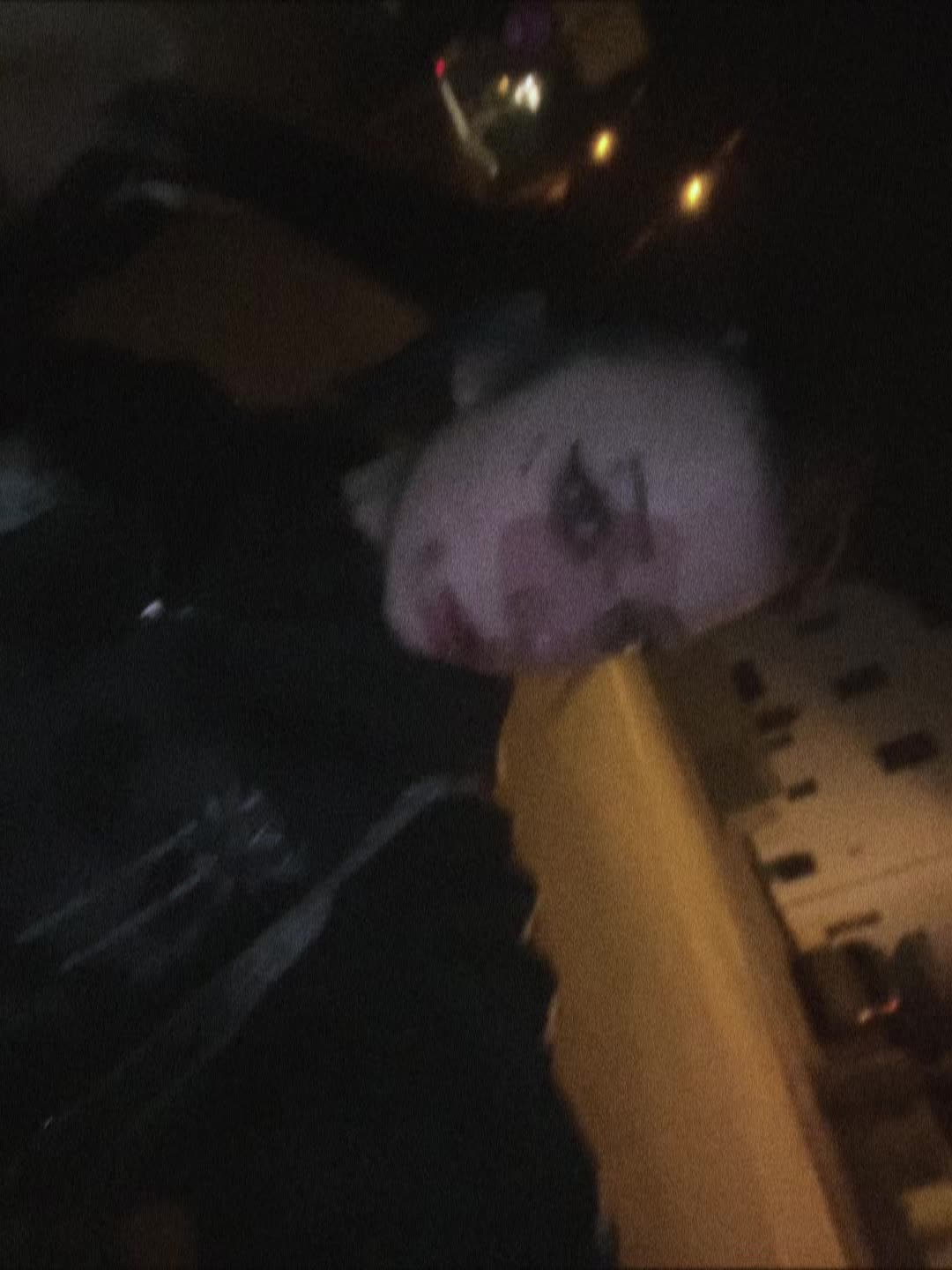 @lily ⛓️🖤