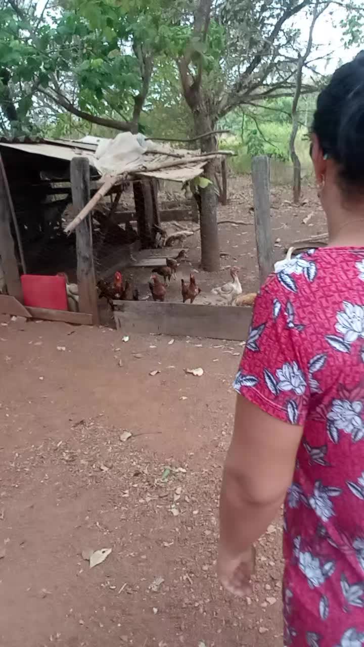 @Rosineide Bela De Souza