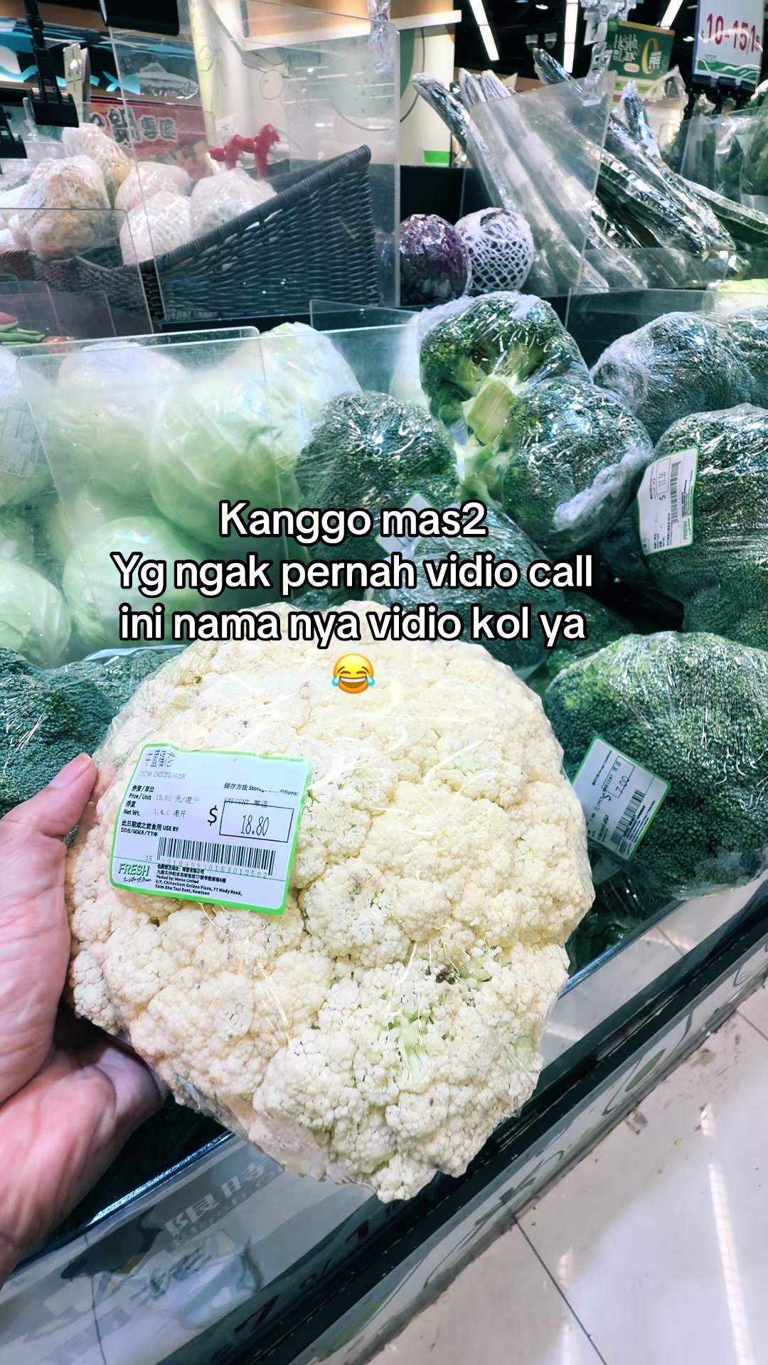 @Farisa فاريسا