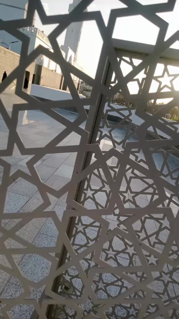 @raani6B