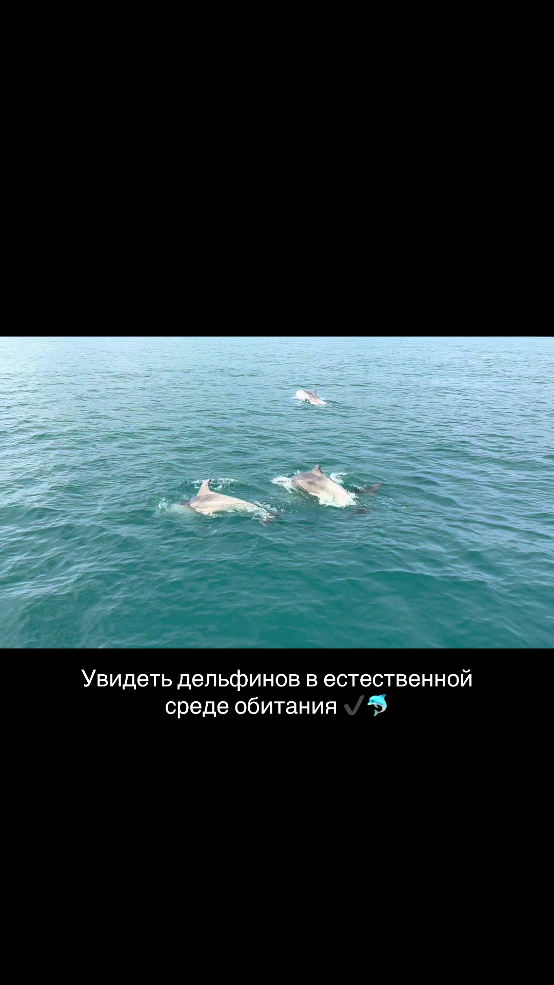 @алекса сэйп 🪷