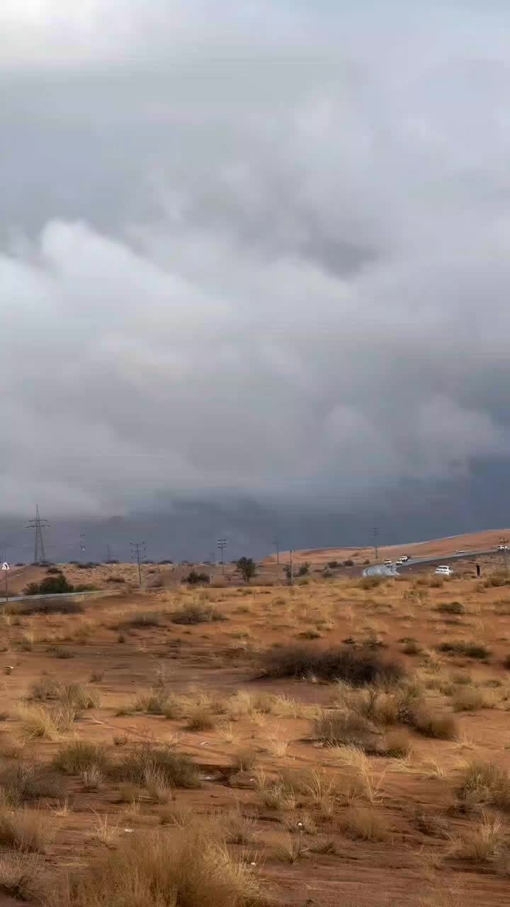 @معتز التعمري 501📆