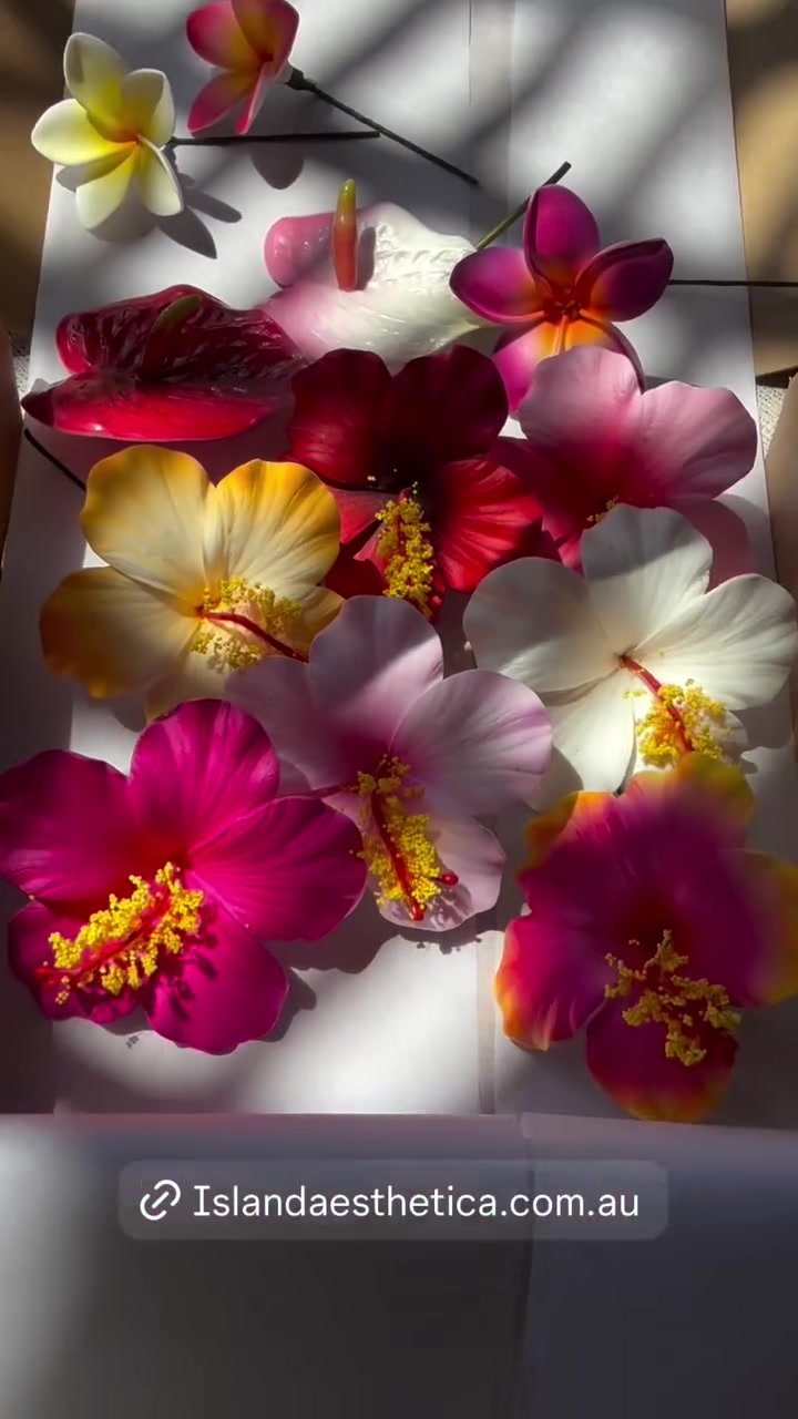 @Island Aesthetica 🌺