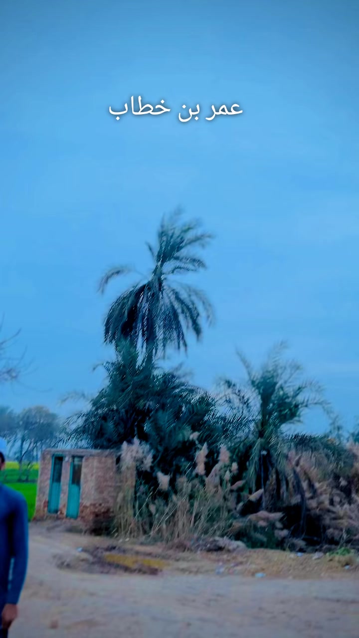 @معین