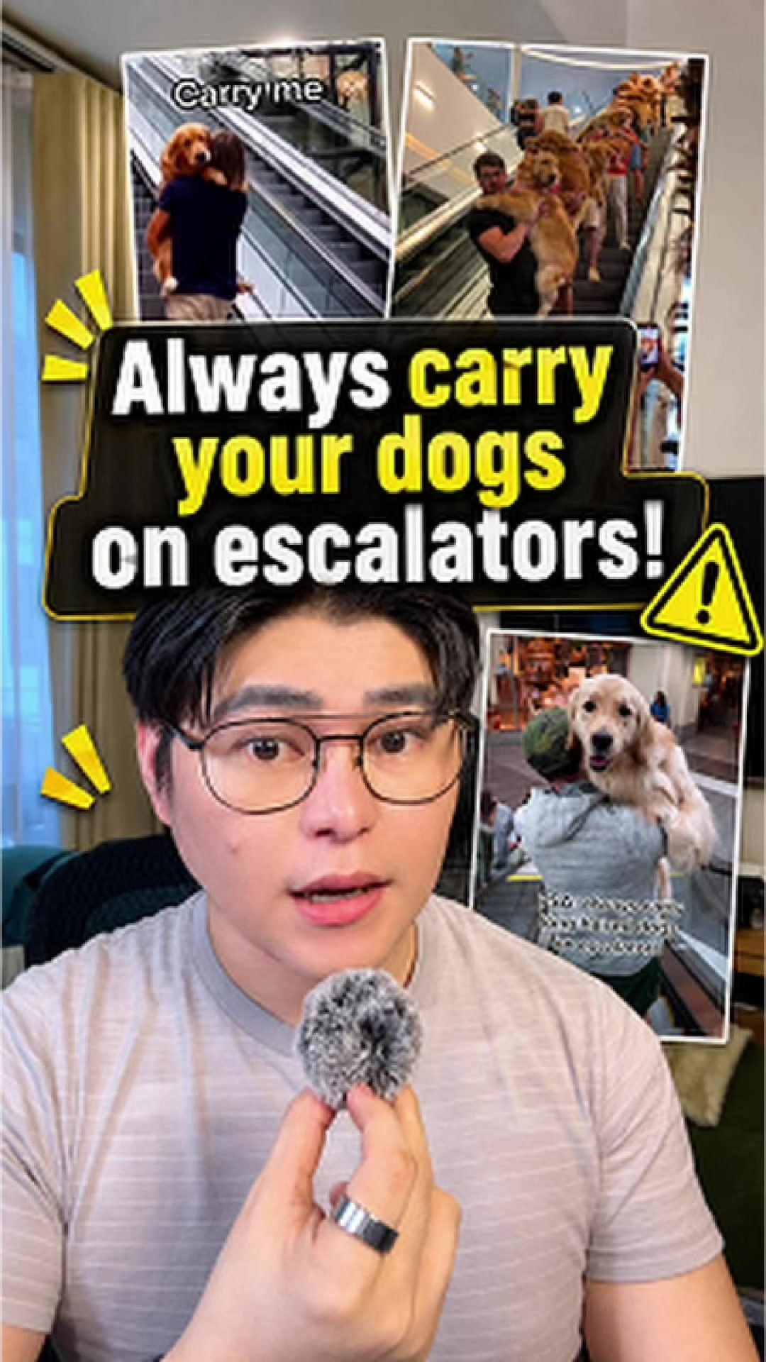 @DeejimonTV 🧿