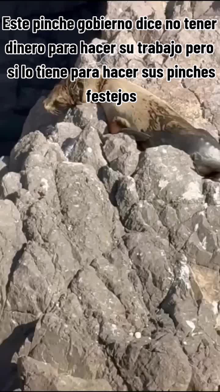 @pachincleta7