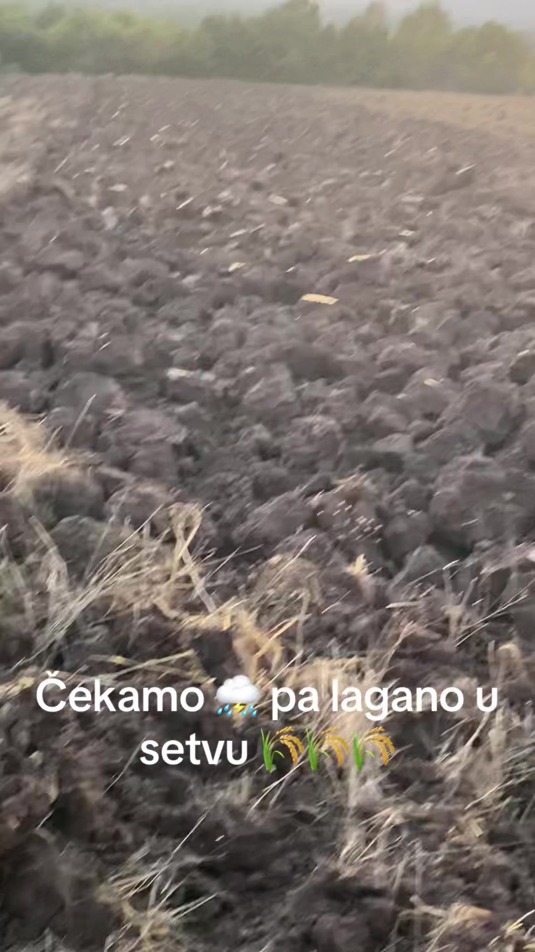 @canee