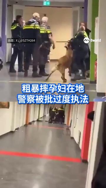 @8视界新闻网