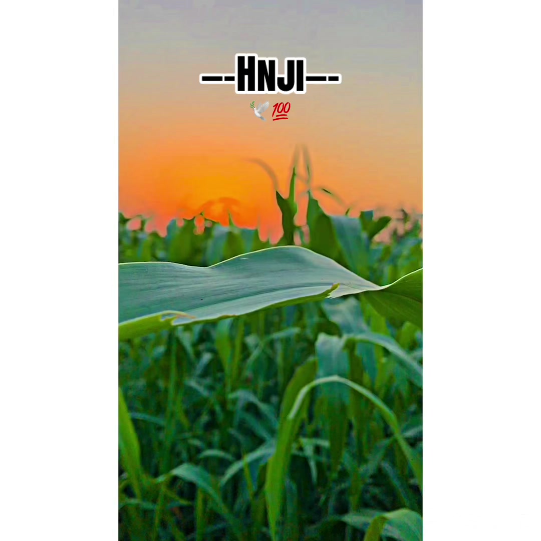 @𝐏𝐔𝐍𝕵𝐀𝐁👳🏻♂️🌾