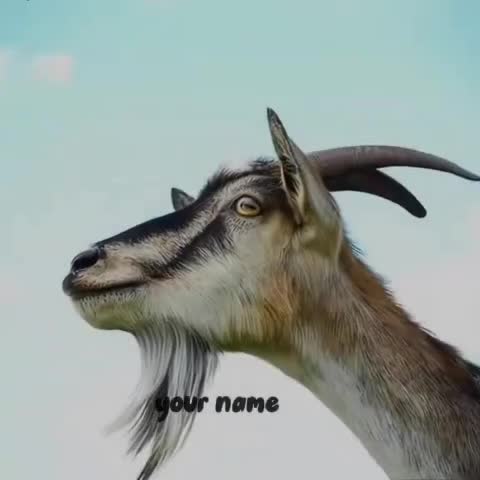 @Jr2026