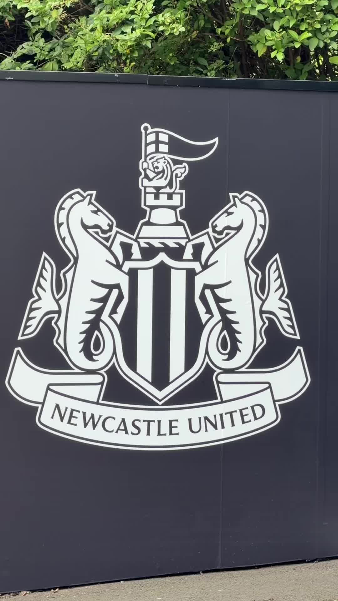 @TheMagpieChannel
