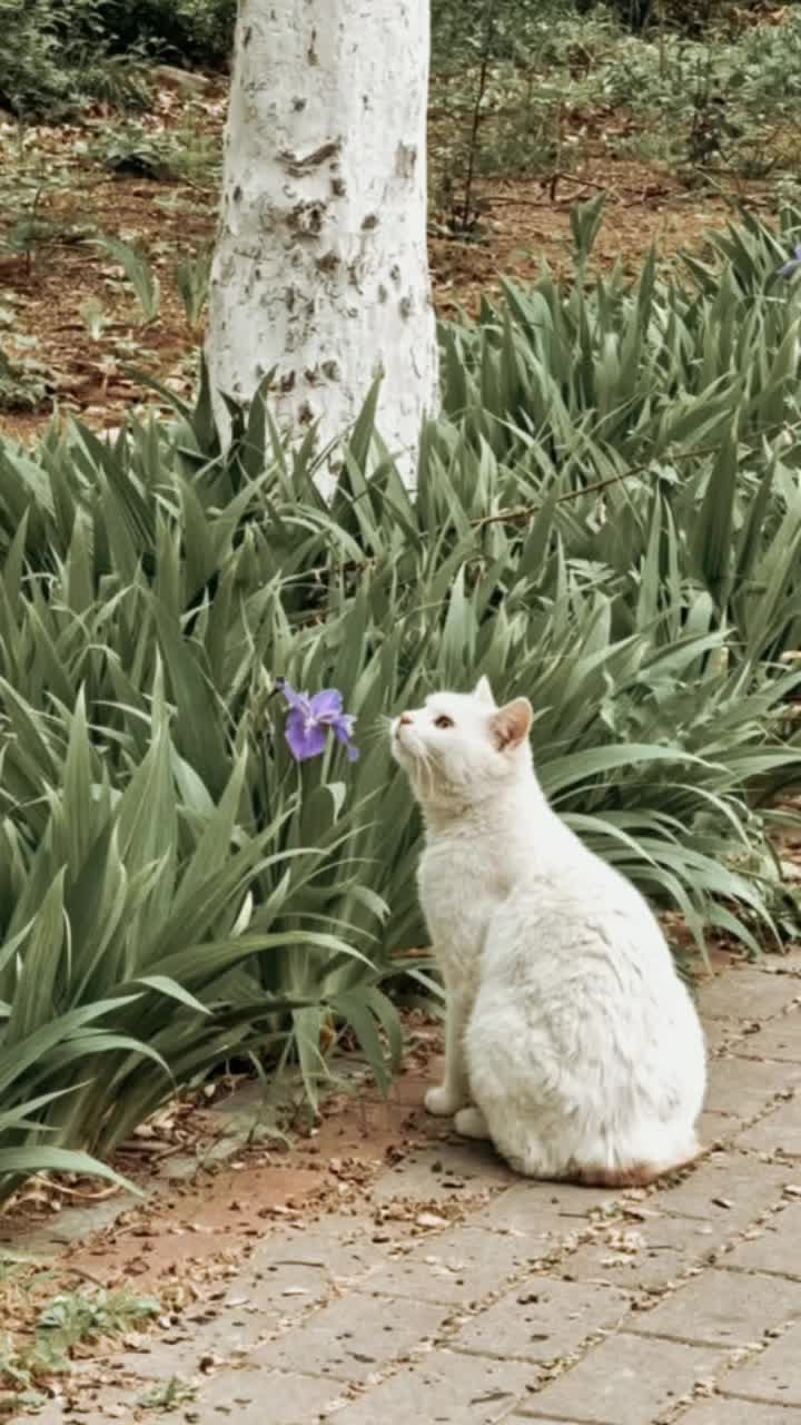 @𝒔𝒉𝒆 𝒓𝒐𝒔𝒆
