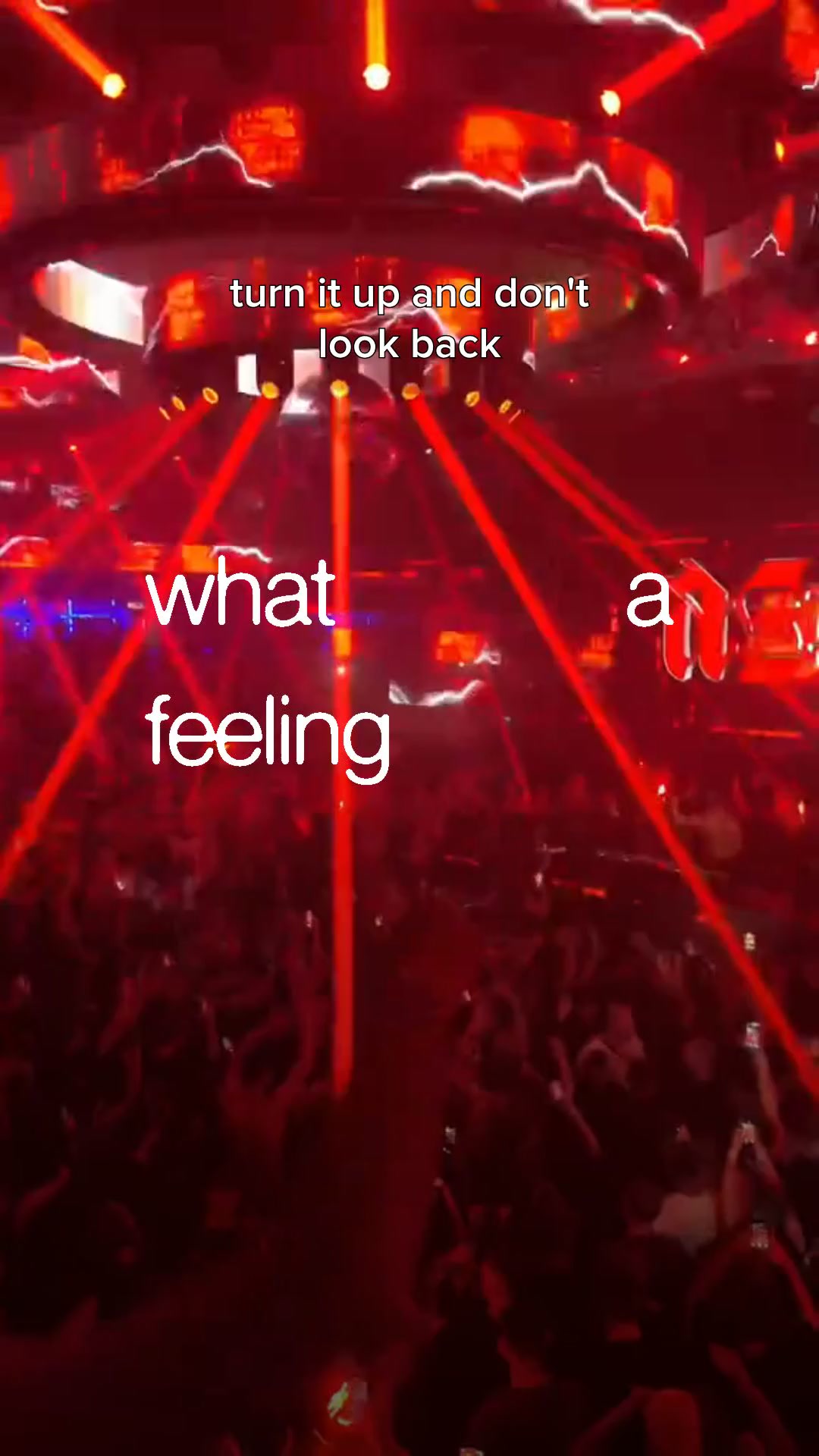 @Daily Rave