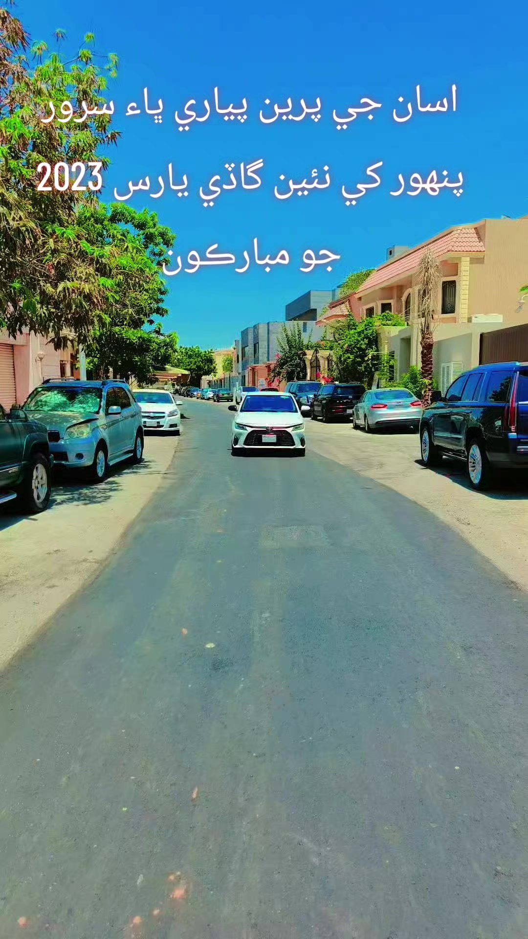 @Sardar Aamir ali khushik