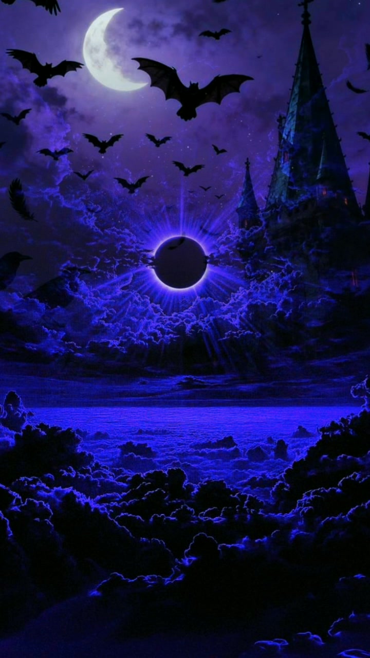 @🌚