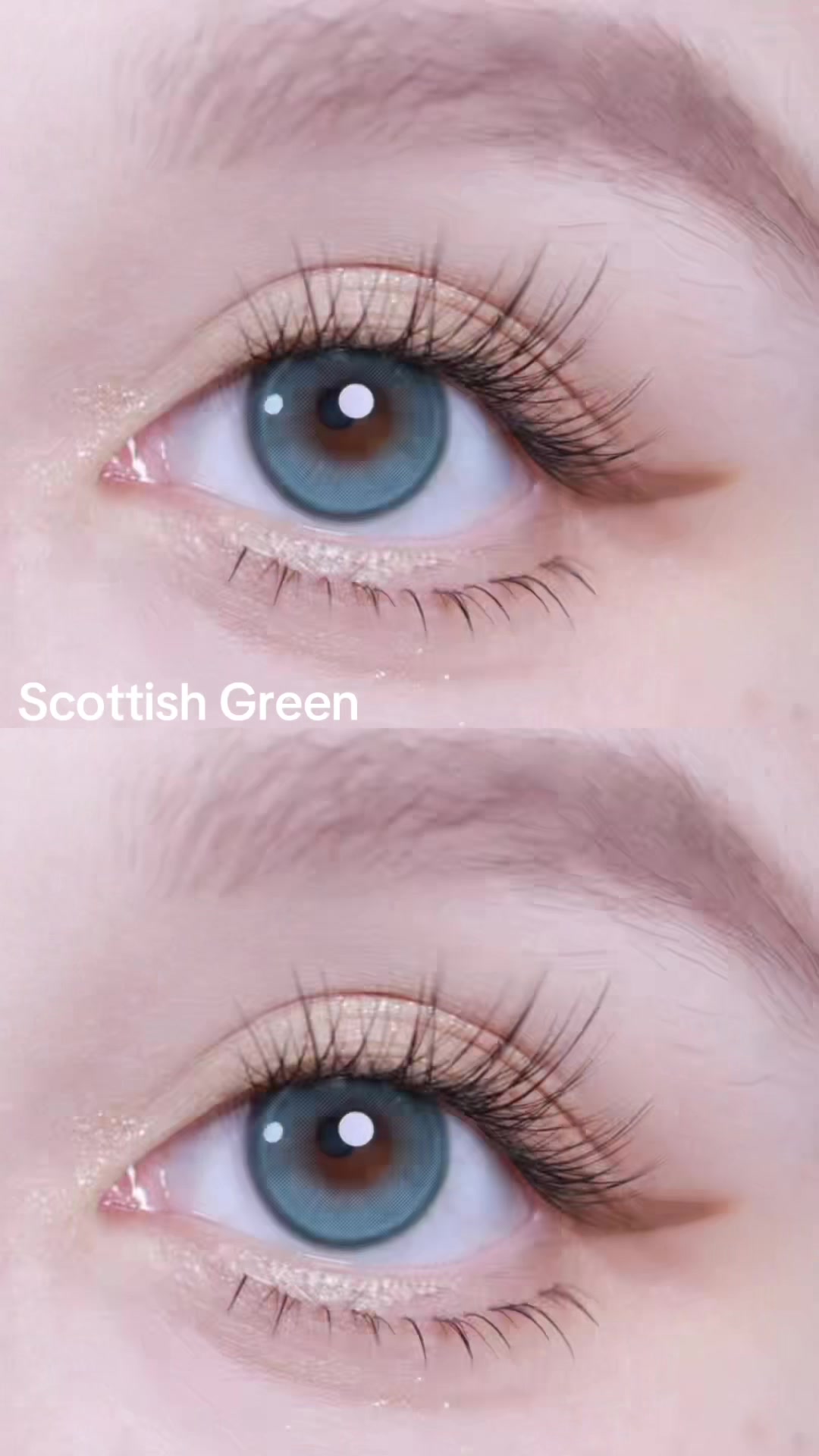 @Bae Lenses