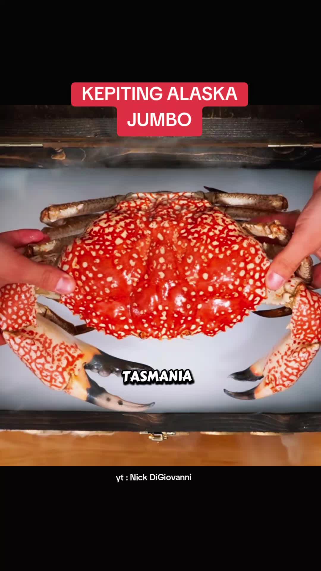 @foodv64