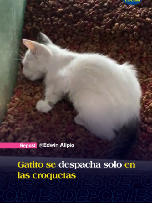 @La-Lista Deportes