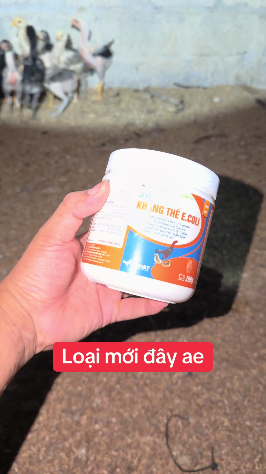 @Quyền Ba Vì