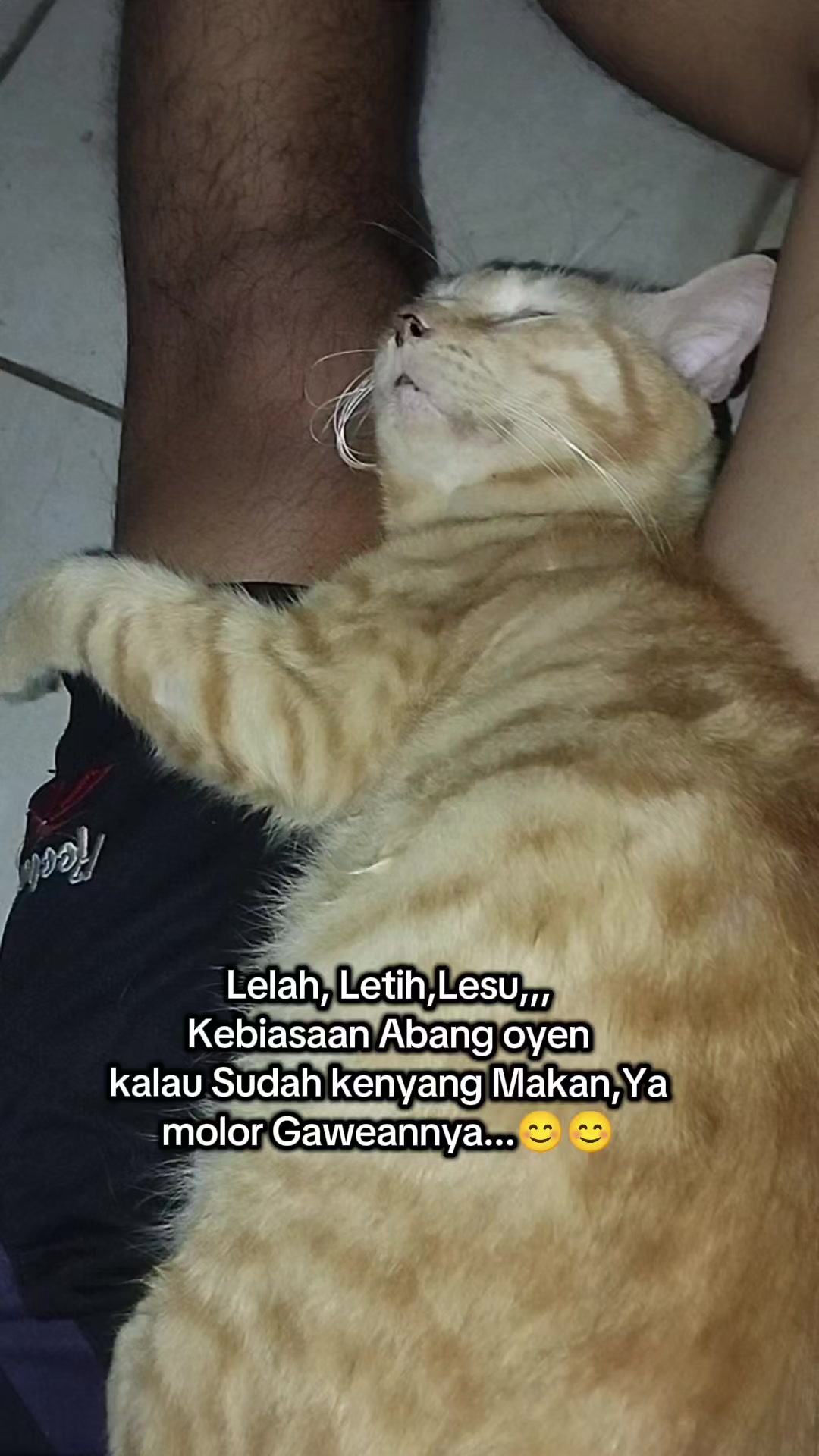 @Shanshan Ngapruk