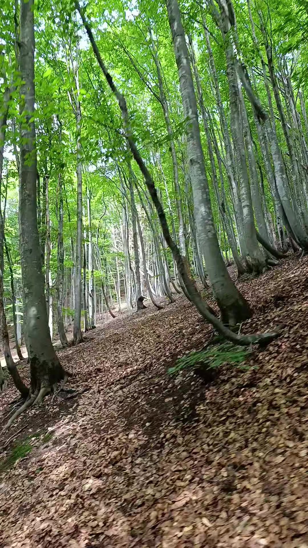 @Ірка-Зефірка