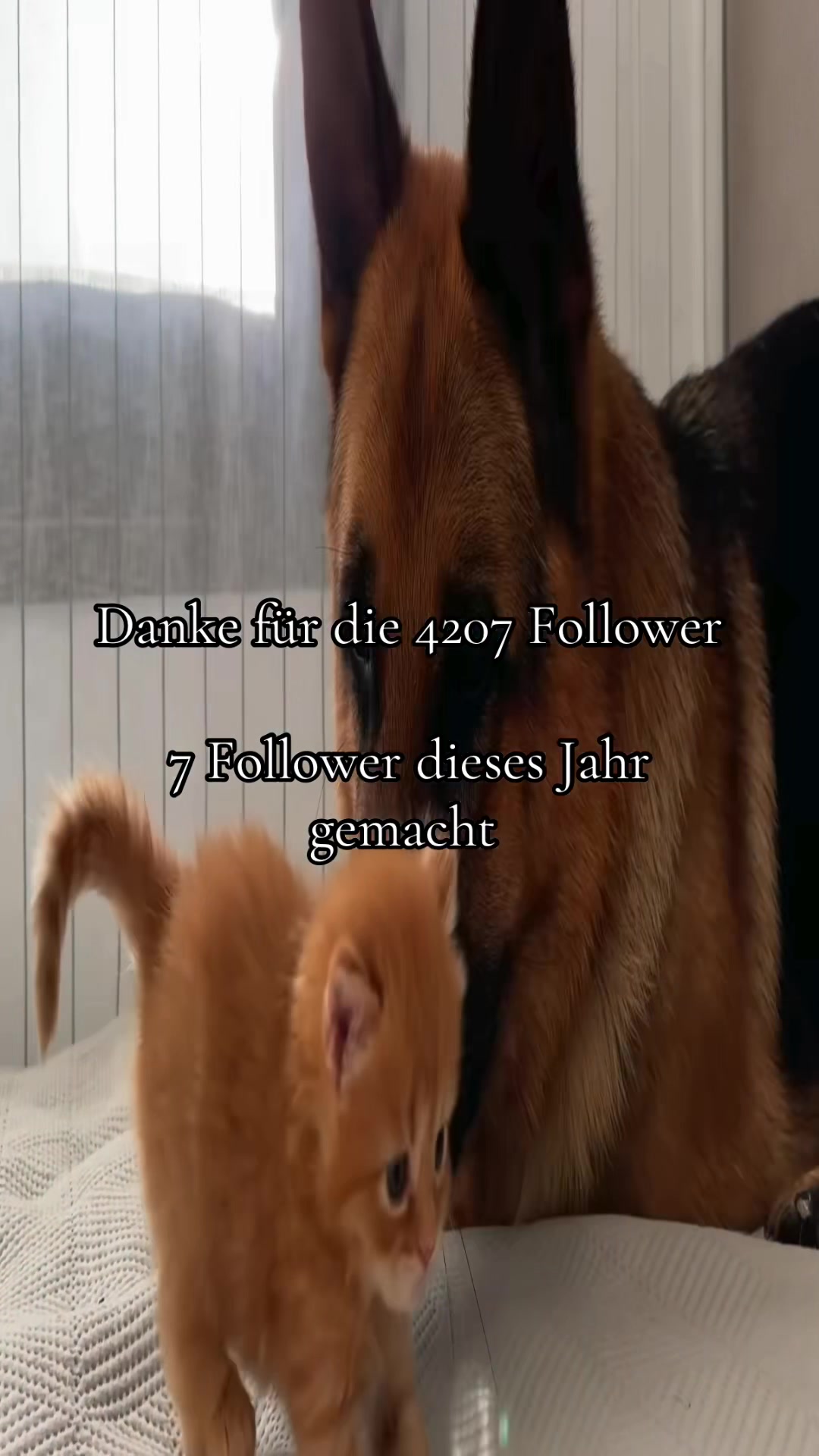 @Eierkopfsalat