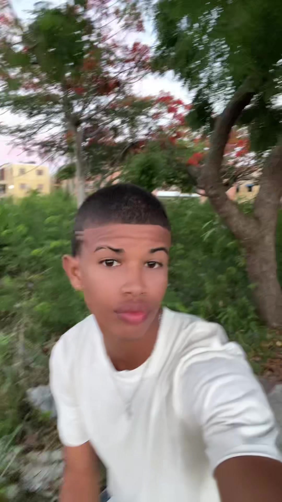@Sr Raimer 🕷️