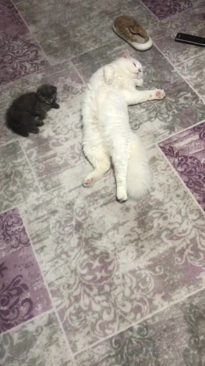 @Neşe