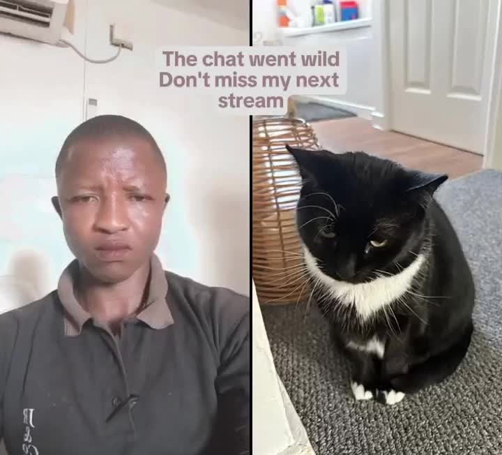 @Musa D Koroma