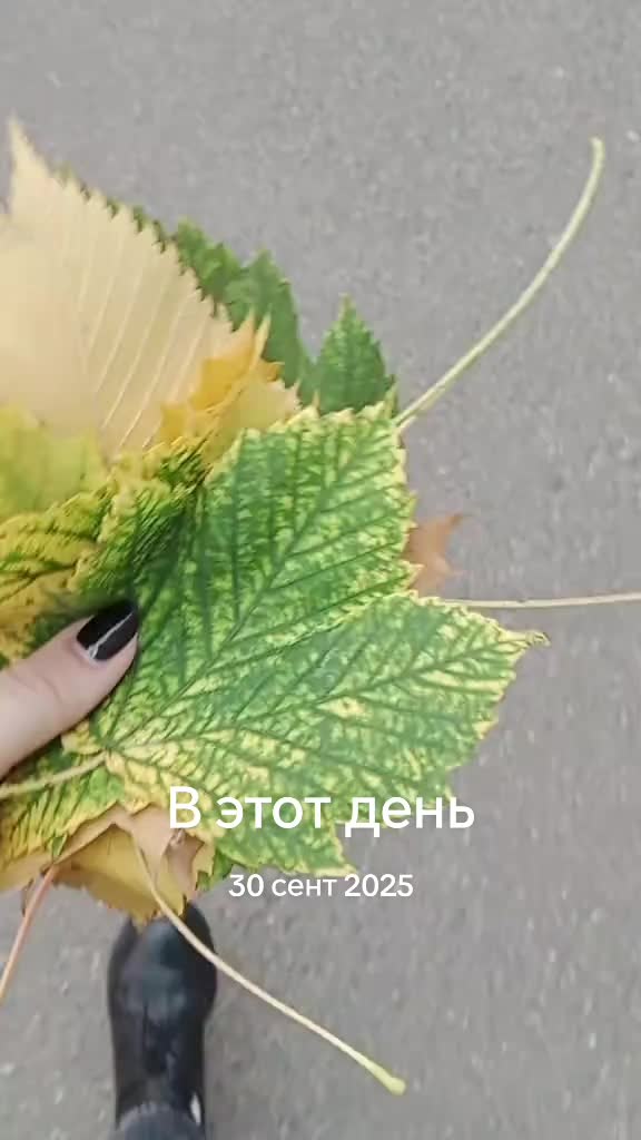 @Лена з бясконцага лета