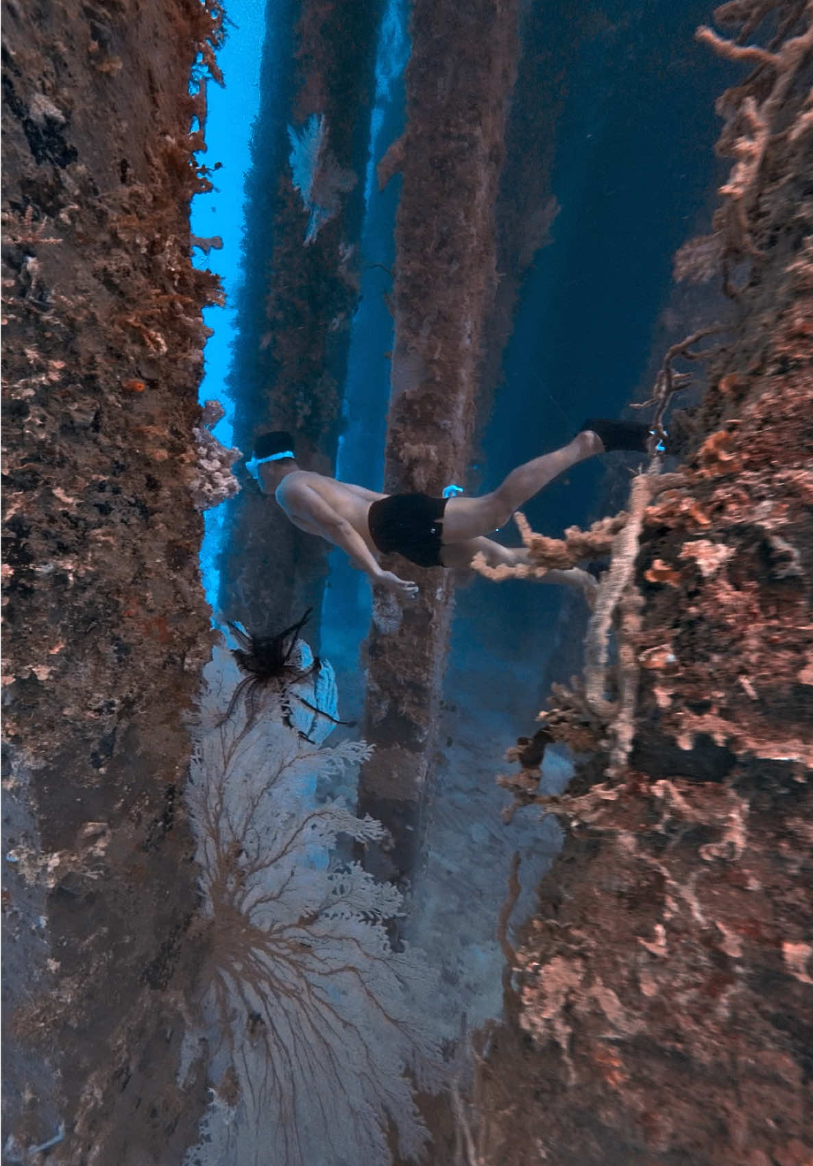 @@voltamazingfreediver