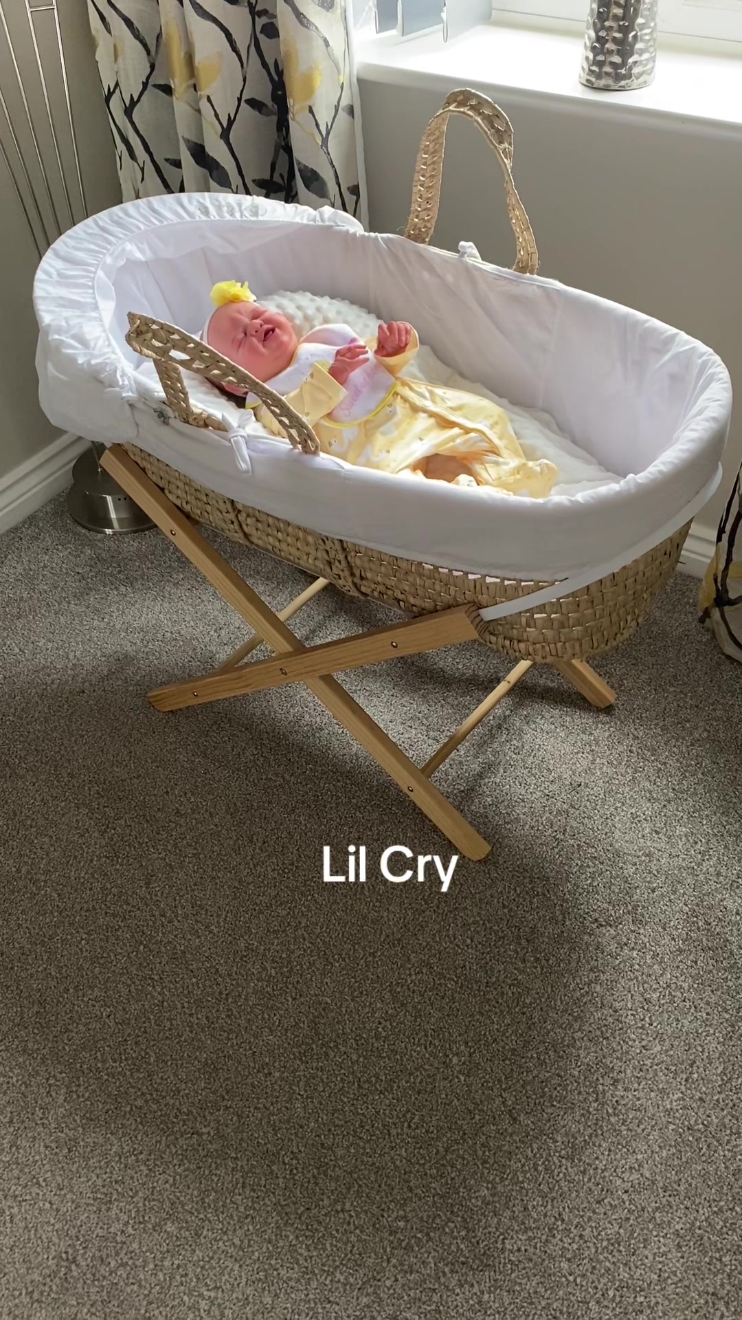 @Miss Bees Reborn Babies