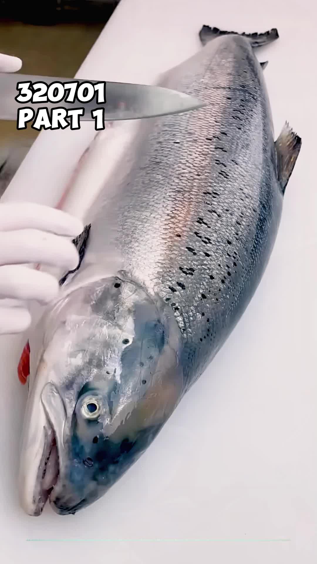 @wenyutw59