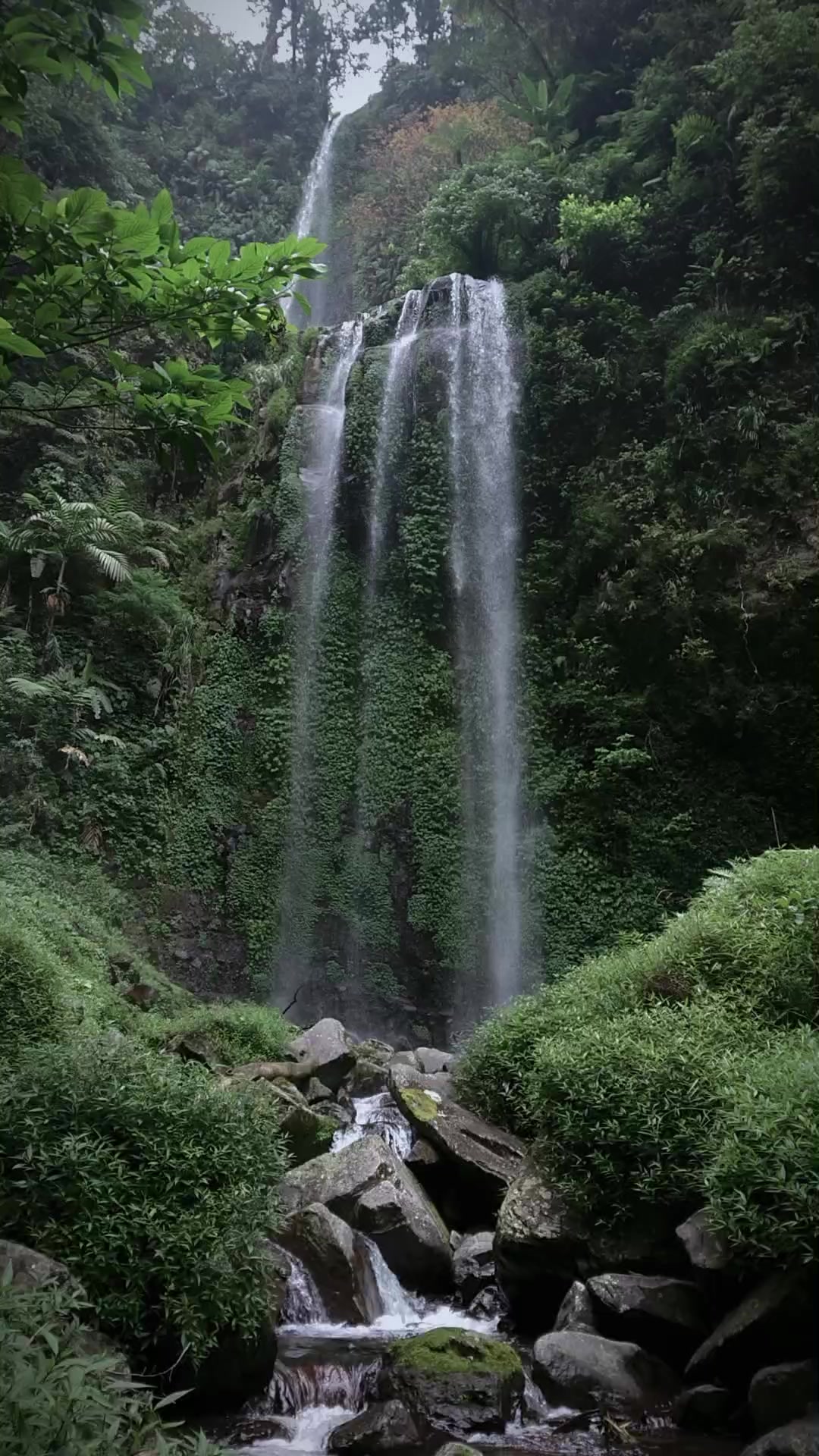 @kyubi_10