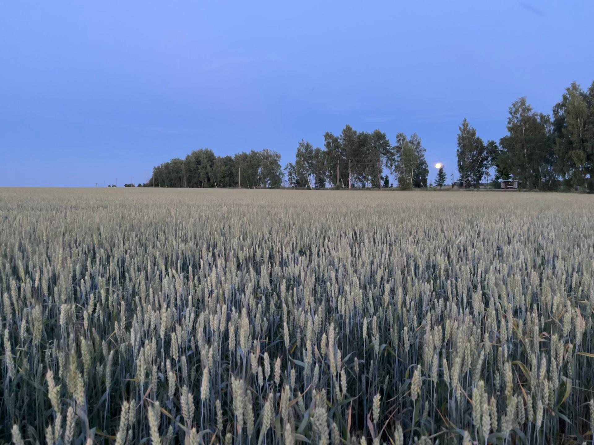 @влюбленные в природу