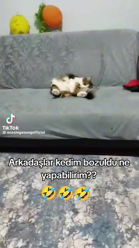 @Mehmet
