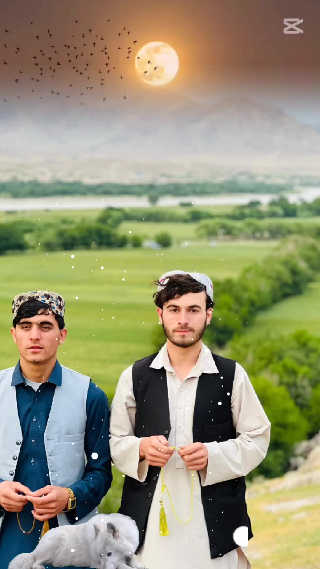 @❓💫میرزاساحلووو💫❓