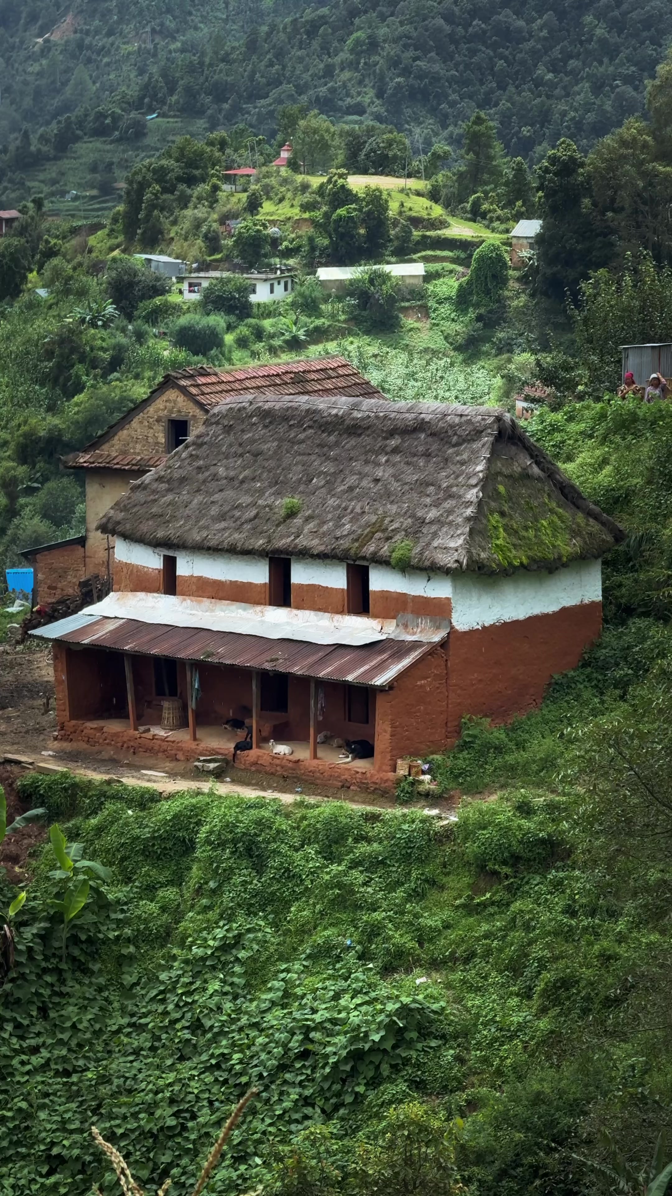 @Sudarshan Neupane