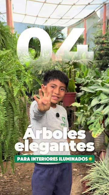 @VIVERO LAS G🦁RDENIAS|TRUJILLO