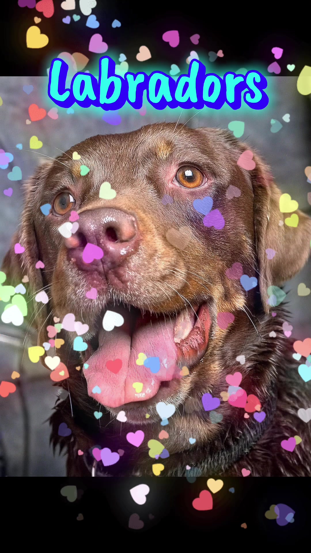 @🕯️💜🌹Danie/Kaia🌹💜🕯️