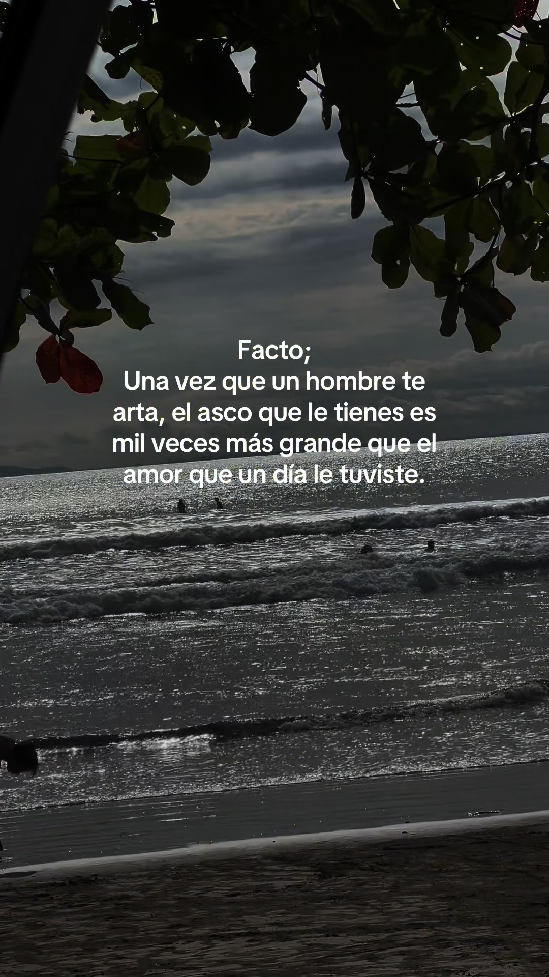 @tuchinita
