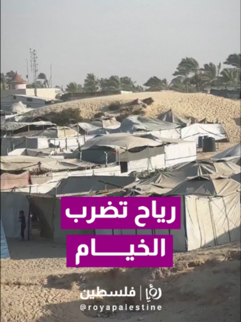 @Royapalestine رؤيا فلسطين