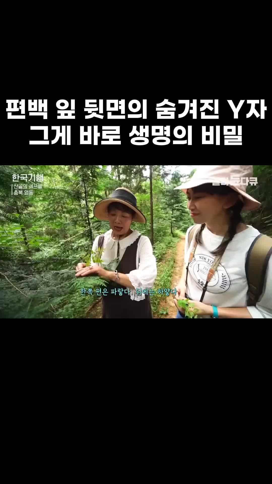 @EBS 다큐