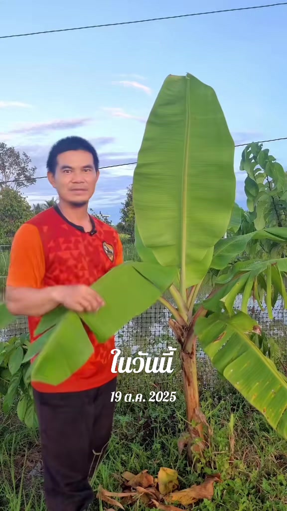 @Konloy