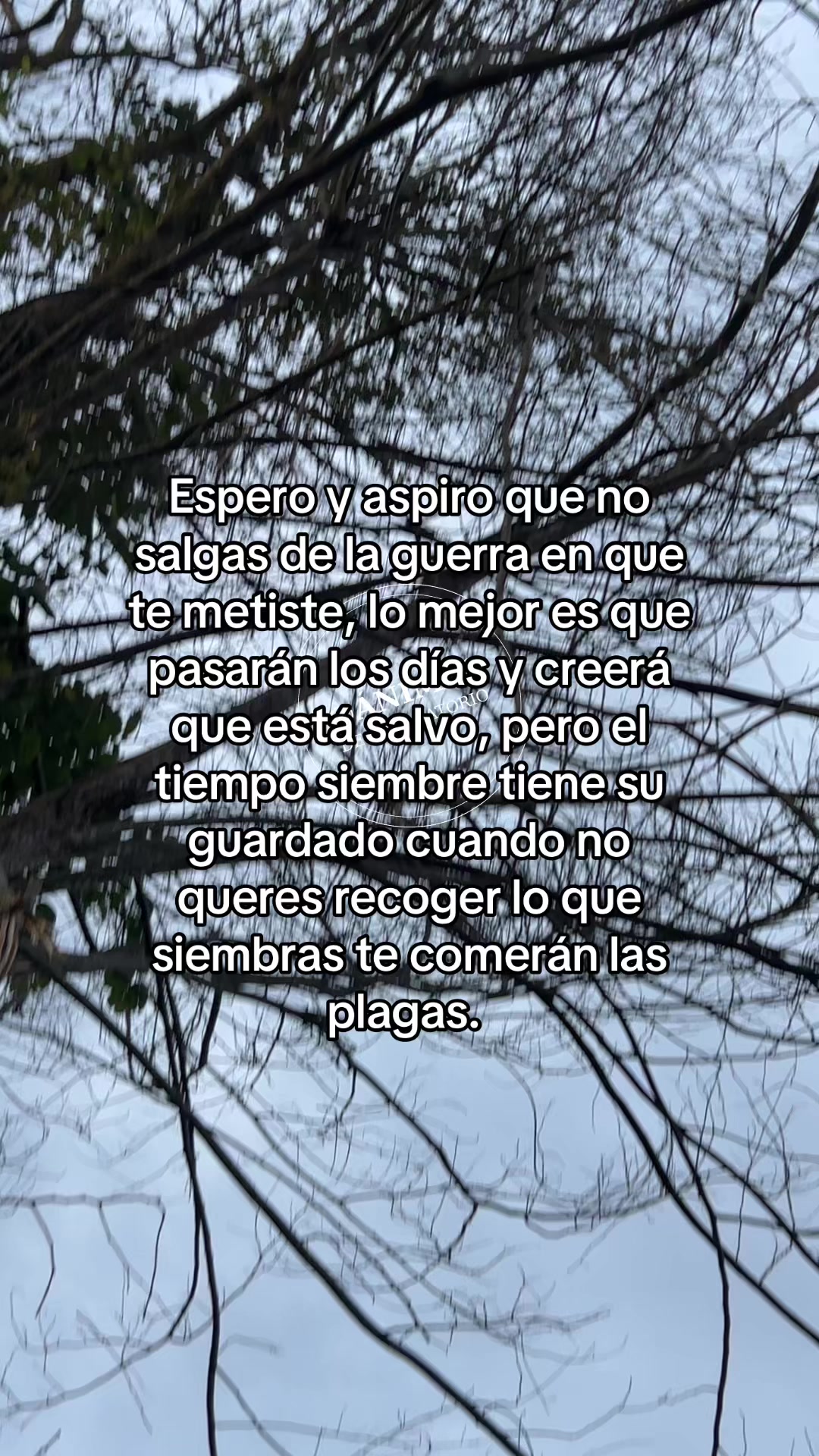 @Sebas_animasdelpurgatorio