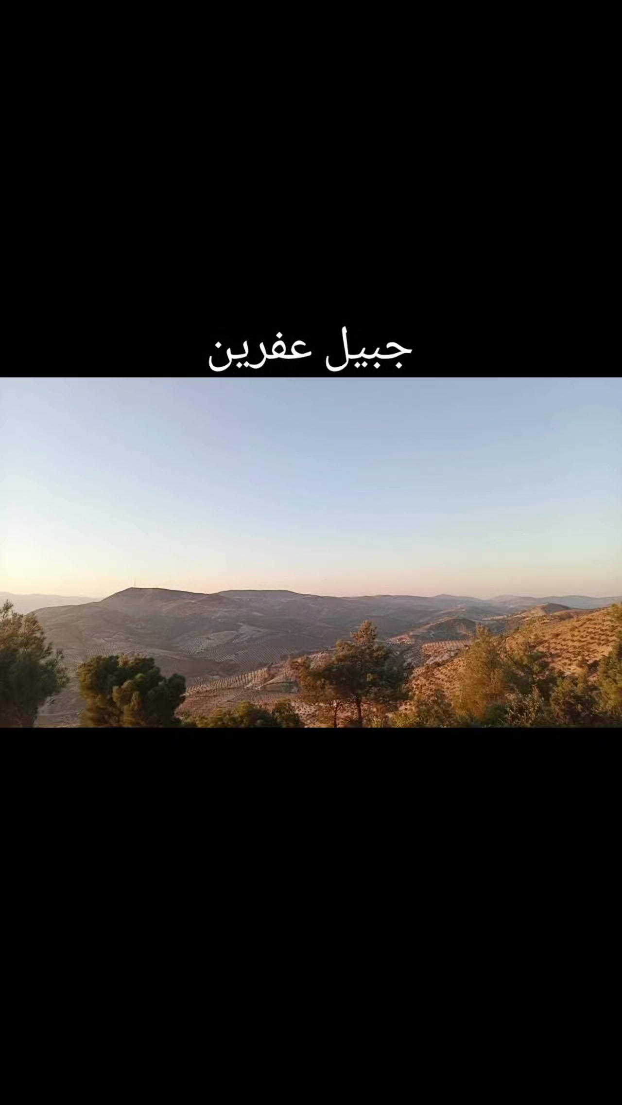 @عبدالرحمن عمر